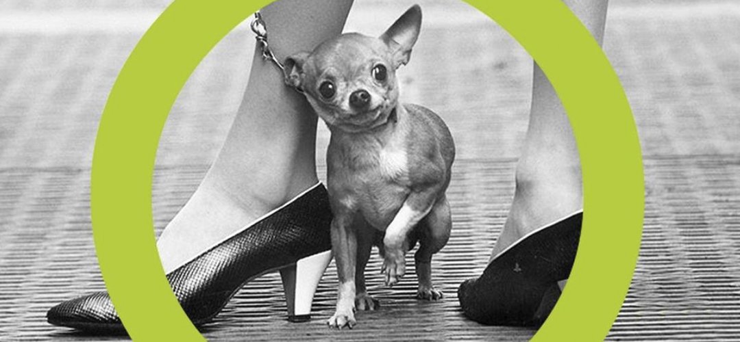 Social media size guide.png